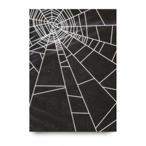 spider-web