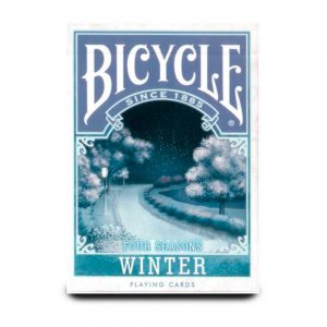 Bicycle-Four-Seasons-winter