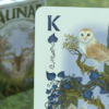 Faunae Veiled Edition Playing Cards by Brain Vessel - Image 2