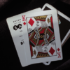 Safari Casino Black Playing Cards by Gemini, - Image 4